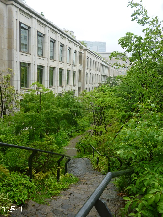 雨の北品川_d0129083_14053583.jpg