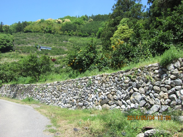 e0158687_1019750.jpg