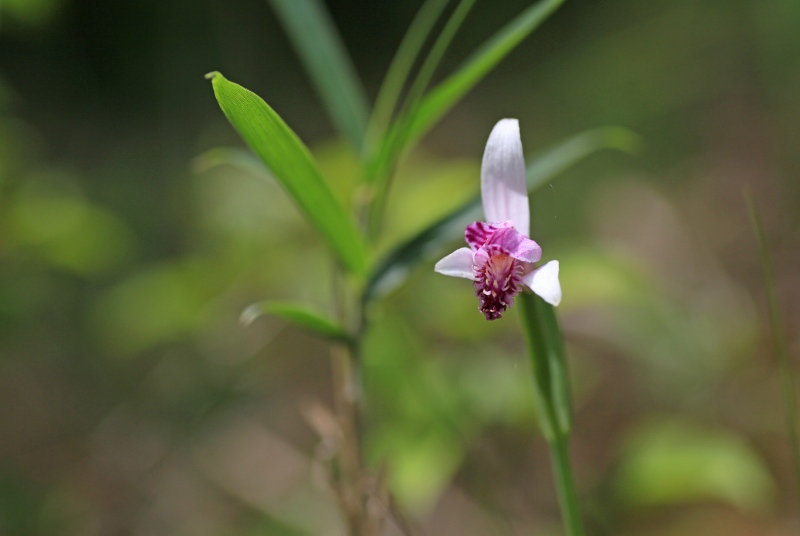 f0000789_865390.jpg