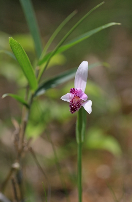 f0000789_872651.jpg
