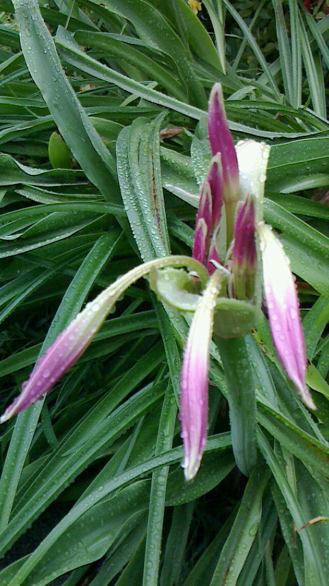 e0148691_2118187.jpg