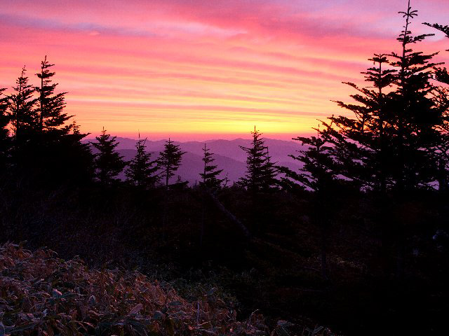 c0008502_0403842.jpg