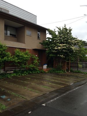 自然と住まい研究所の取材_b0014003_17582648.jpg