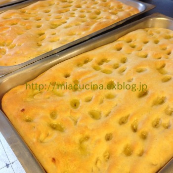 イタリア食旅行記①ジェノヴァのフォカッチャ_b0107003_15382859.jpg