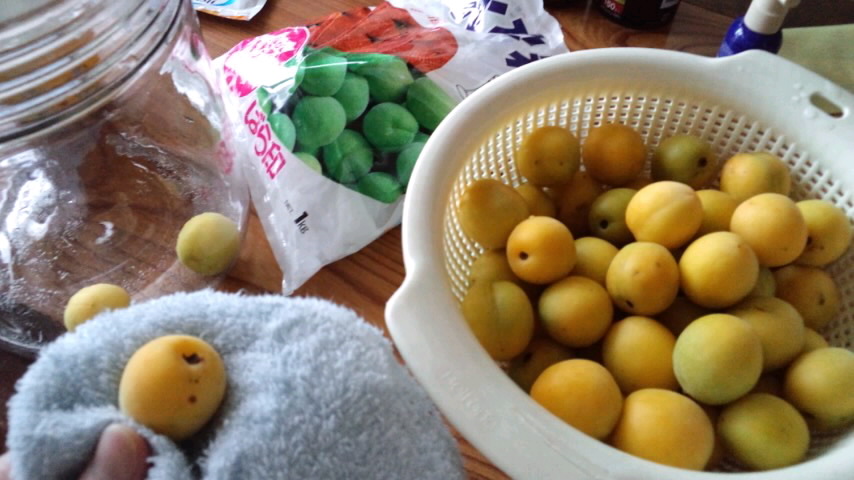 d0093903_1393157.jpg