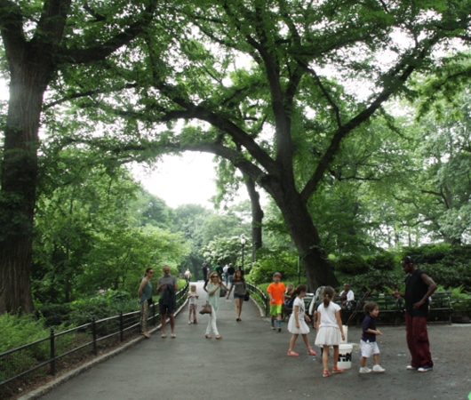 初夏のセントラルパークで見かけたシャボン玉の追いかけっこ_b0007805_12105015.jpg