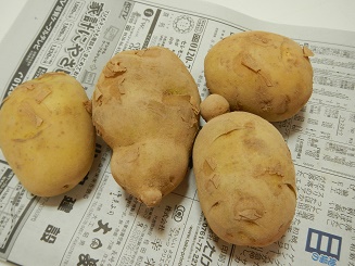 じゃがいもポテトくん アレも コレも じゃがいもポテトくん アレも コレも
