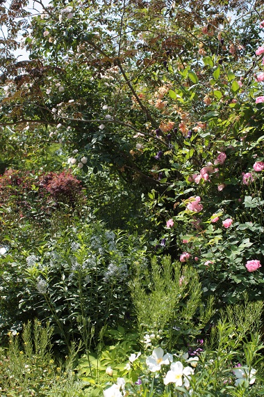 d0001008_20231585.jpg