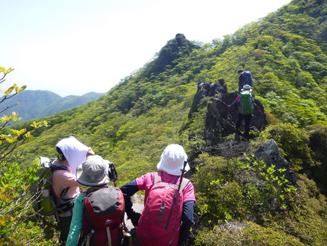 由布岳 (1,583.3M)  に登る　西峰～東峰　お鉢めぐり　編_d0170615_9224072.jpg