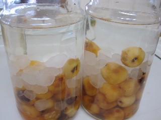 d0083316_1558186.jpg