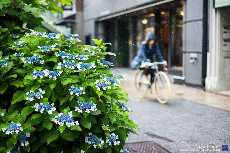 SONY α7 スナップ #124_e0117517_2324311.jpg
