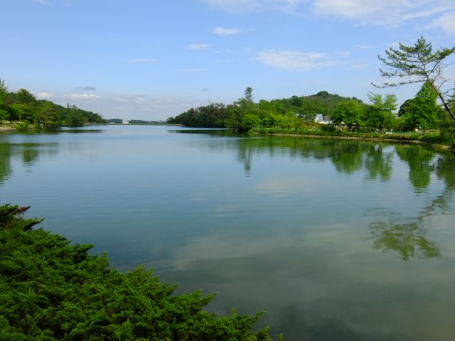 a0188023_792322.jpg
