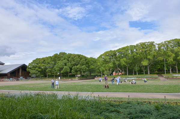 b0279623_1652510.jpg