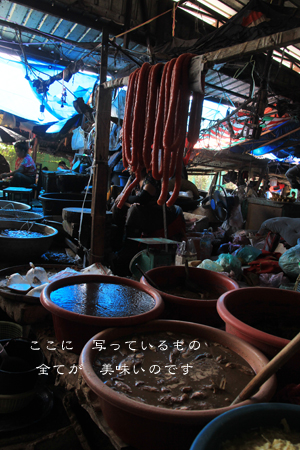 d0042827_2043232.jpg