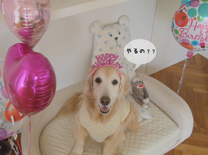 １１歳！_f0227228_16555882.jpg