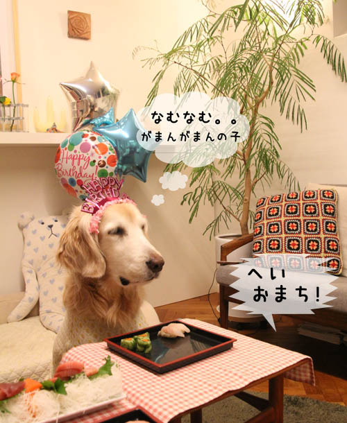 １１歳！_f0227228_1713279.jpg