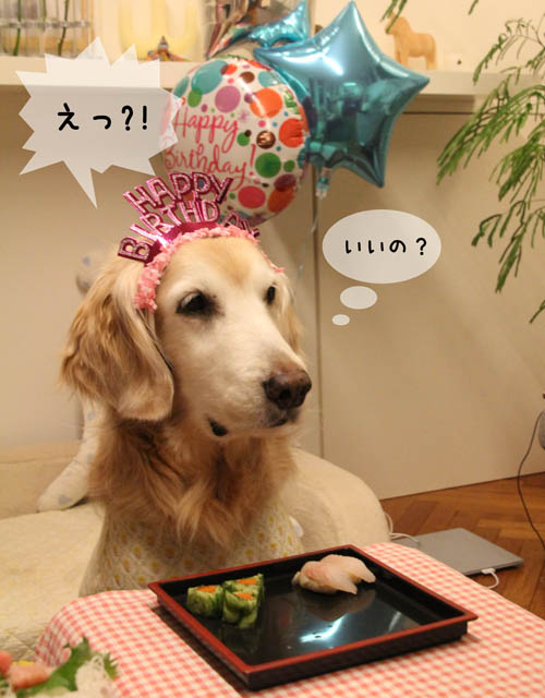 １１歳！_f0227228_17135872.jpg