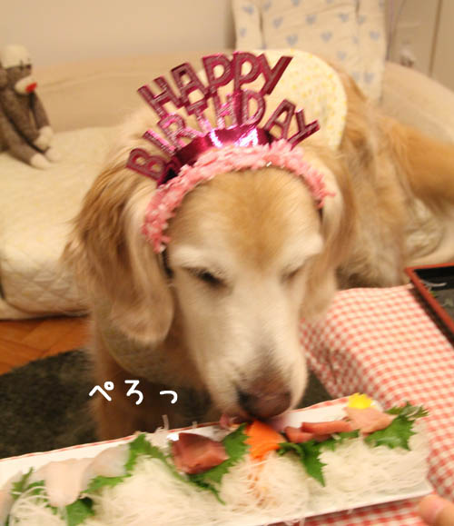 １１歳！_f0227228_1719477.jpg