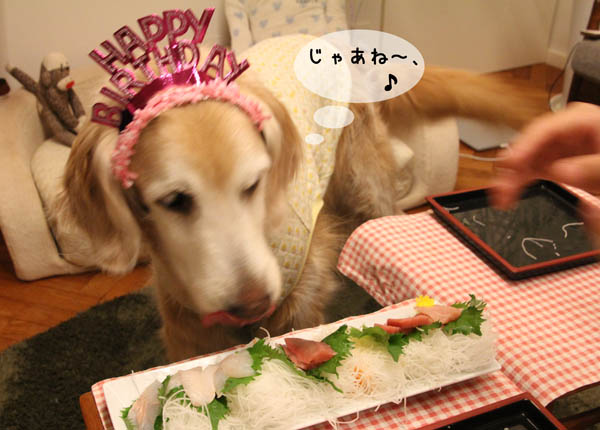 １１歳！_f0227228_17225141.jpg