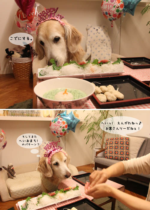 １１歳！_f0227228_17233141.jpg