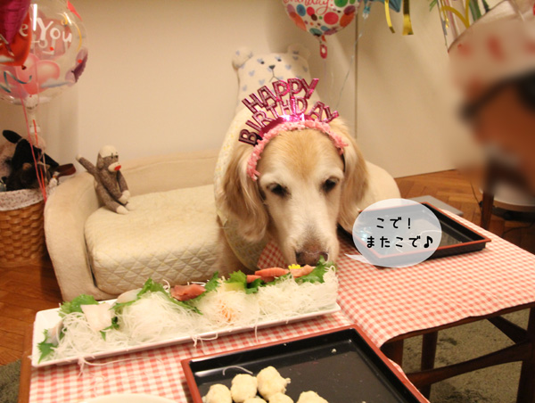 １１歳！_f0227228_17271082.jpg