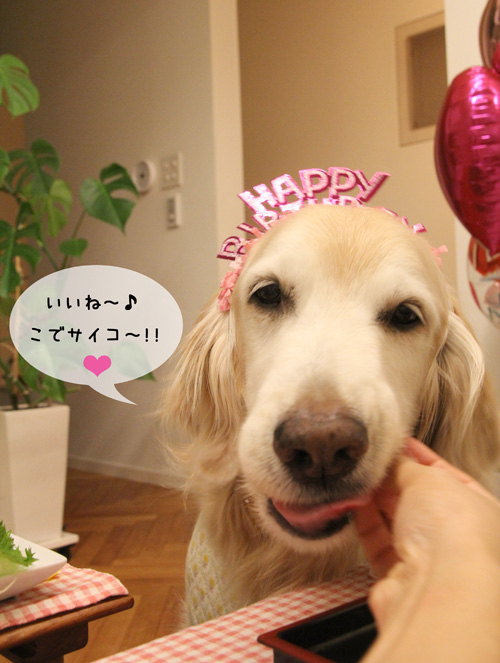 １１歳！_f0227228_17272540.jpg