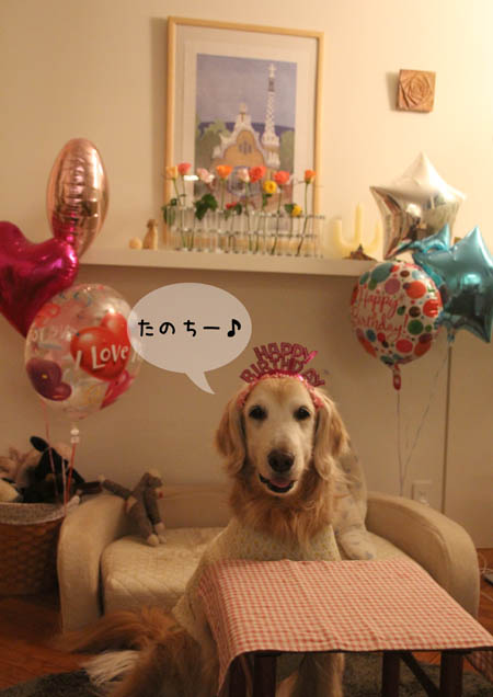 １１歳！_f0227228_17291741.jpg