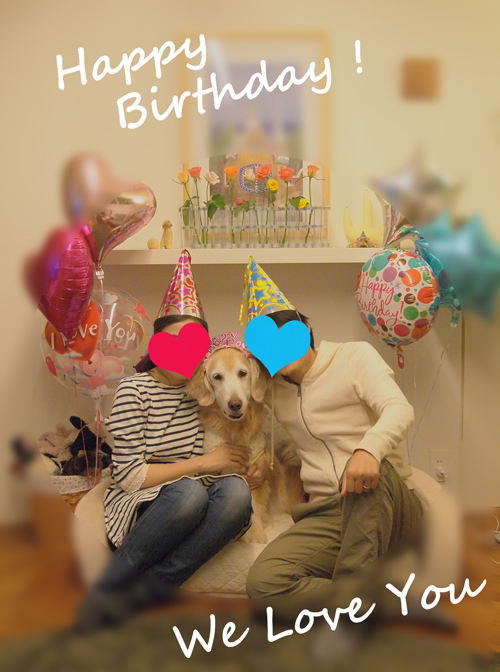 １１歳！_f0227228_1743938.jpg