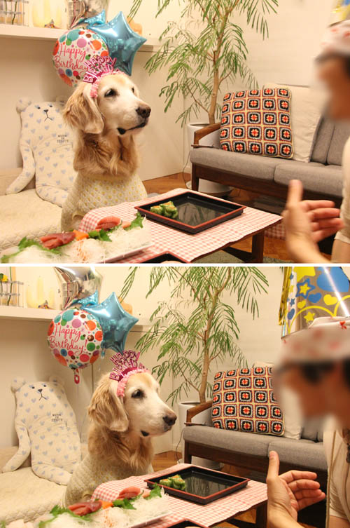 １１歳！_f0227228_178248.jpg