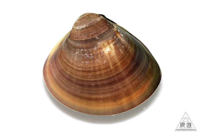 c0211532_15184773.jpg