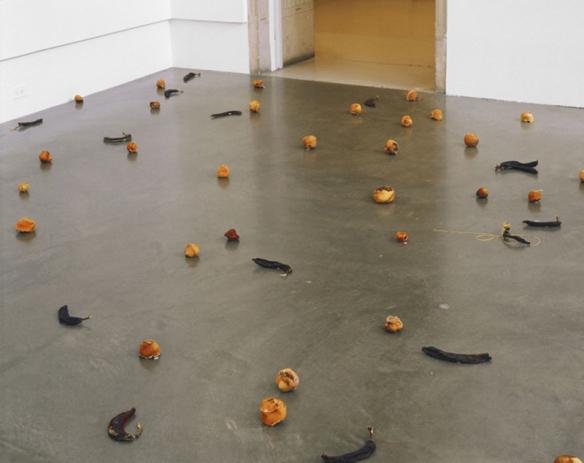 TOMIO SEIKE 『ZOE』 写真集（2000部限定・サイン入り） 清家冨夫 セイケトミオ 「ZOE」 TOMIO SEIKE 写真集 清家冨夫