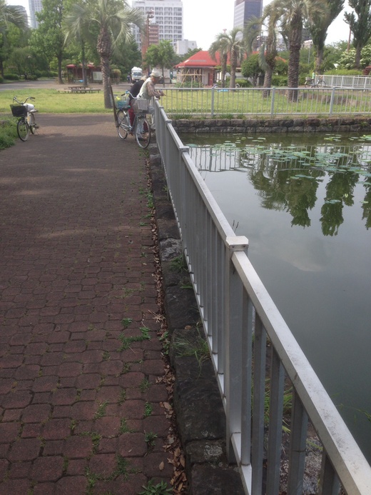 五月二十日、二十三日にゃあよぉ、超貴族高級ベーヤマ和竿でブーナマ釣んぞ。_c0234439_22583666.jpg