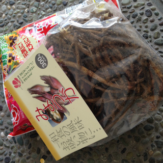ミョウガ日誌 0611_a0210340_2223963.jpg