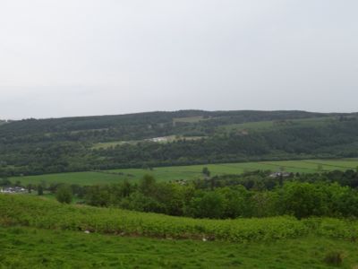 d0230653_292947.jpg