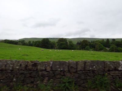 d0230653_29307.jpg