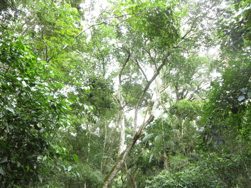 b0160957_172843.jpg