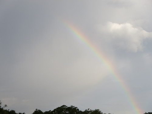 b0160957_1738081.jpg