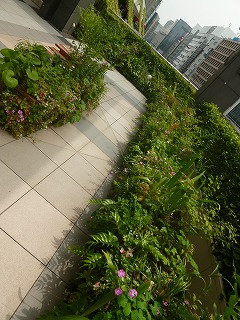 open corridor 緑溢れる都心の憩い空間♪_a0165160_08555126.jpg