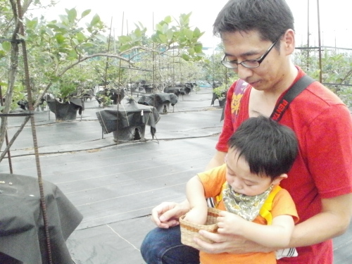 f0194664_16455859.jpg