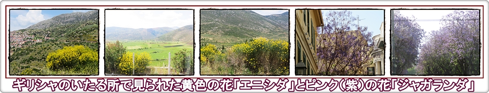 a0052666_1851590.jpg