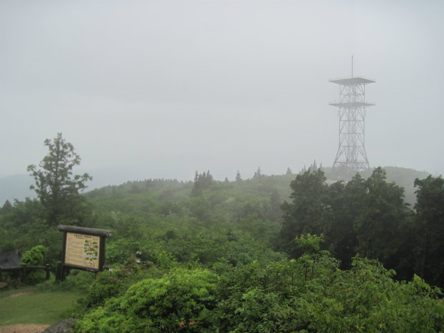 2014.6.11　中津峰山_c0219866_14214328.jpg