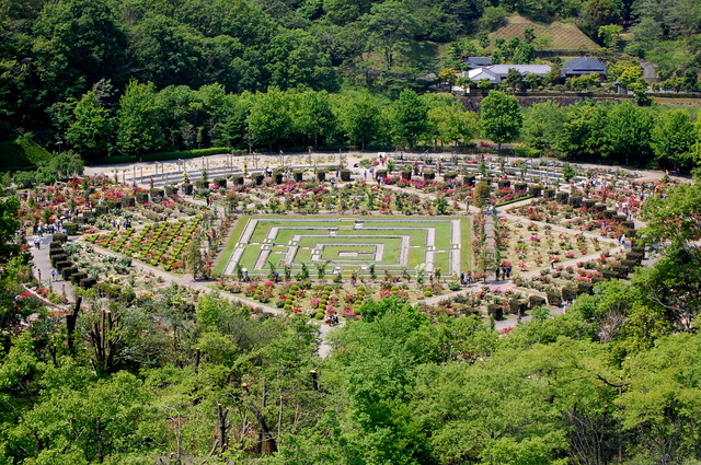 d0172270_14382225.jpg