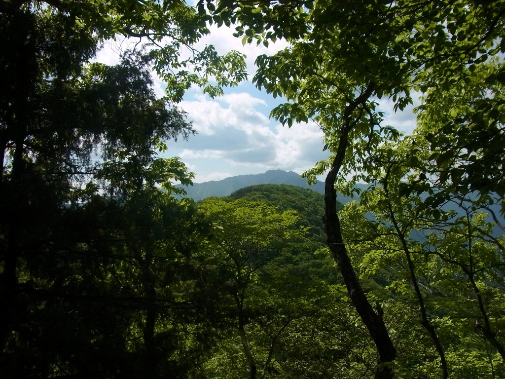 2014/05/22　天神山　尾崎山　文台山　矢花山　後編_d0233770_2319842.jpg