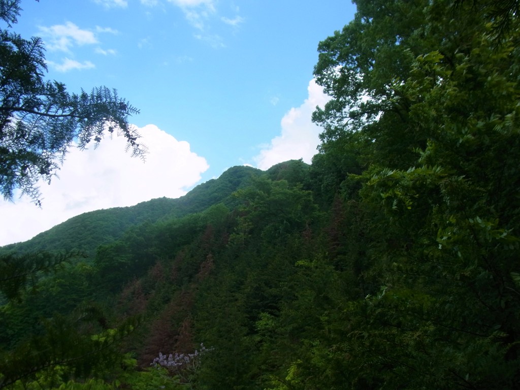 2014/05/22　天神山　尾崎山　文台山　矢花山　後編_d0233770_23314452.jpg