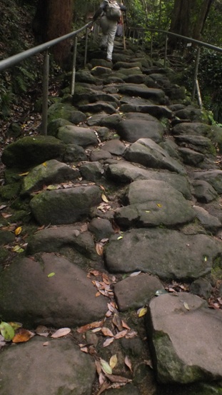 b0214473_20515882.jpg