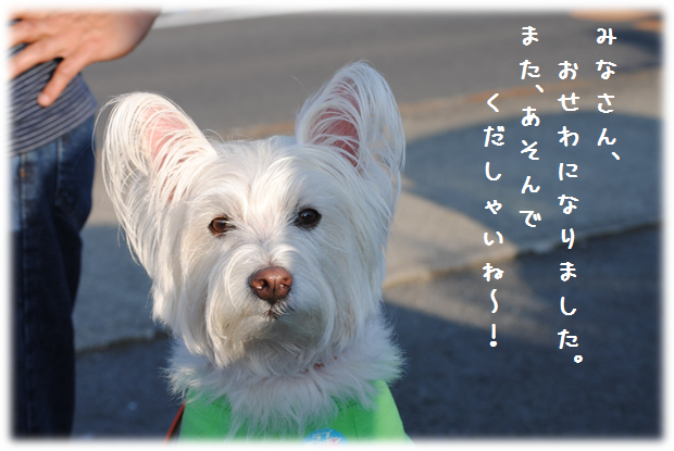 b0242873_22431503.png