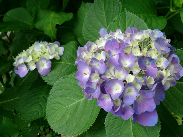 e0212073_9222572.jpg