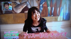 アリス 紗良 オットのテレビ出演 大学教員のつぶやき アリス 紗良 オットのテレビ出演 大学教員のつぶやき