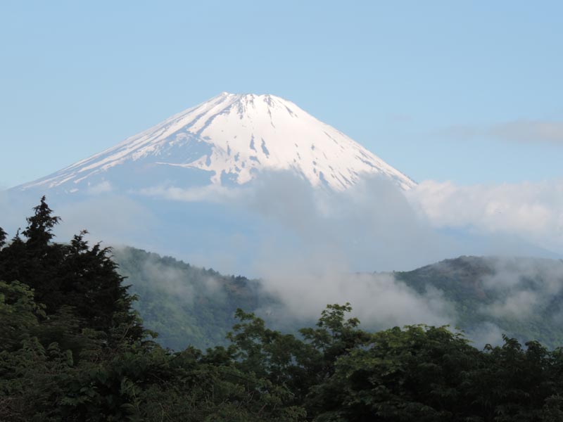 d0067476_1615345.jpg