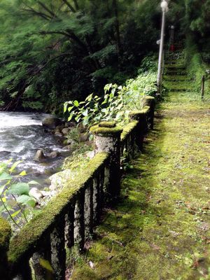 梅雨の箱根_e0190687_955472.jpg